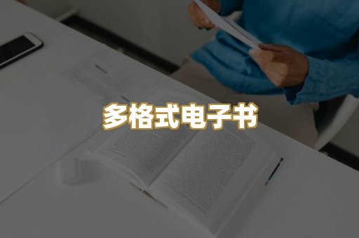 多格式电子书